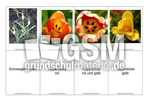 Blumen-Memo-Aufdeckspiel-4.pdf